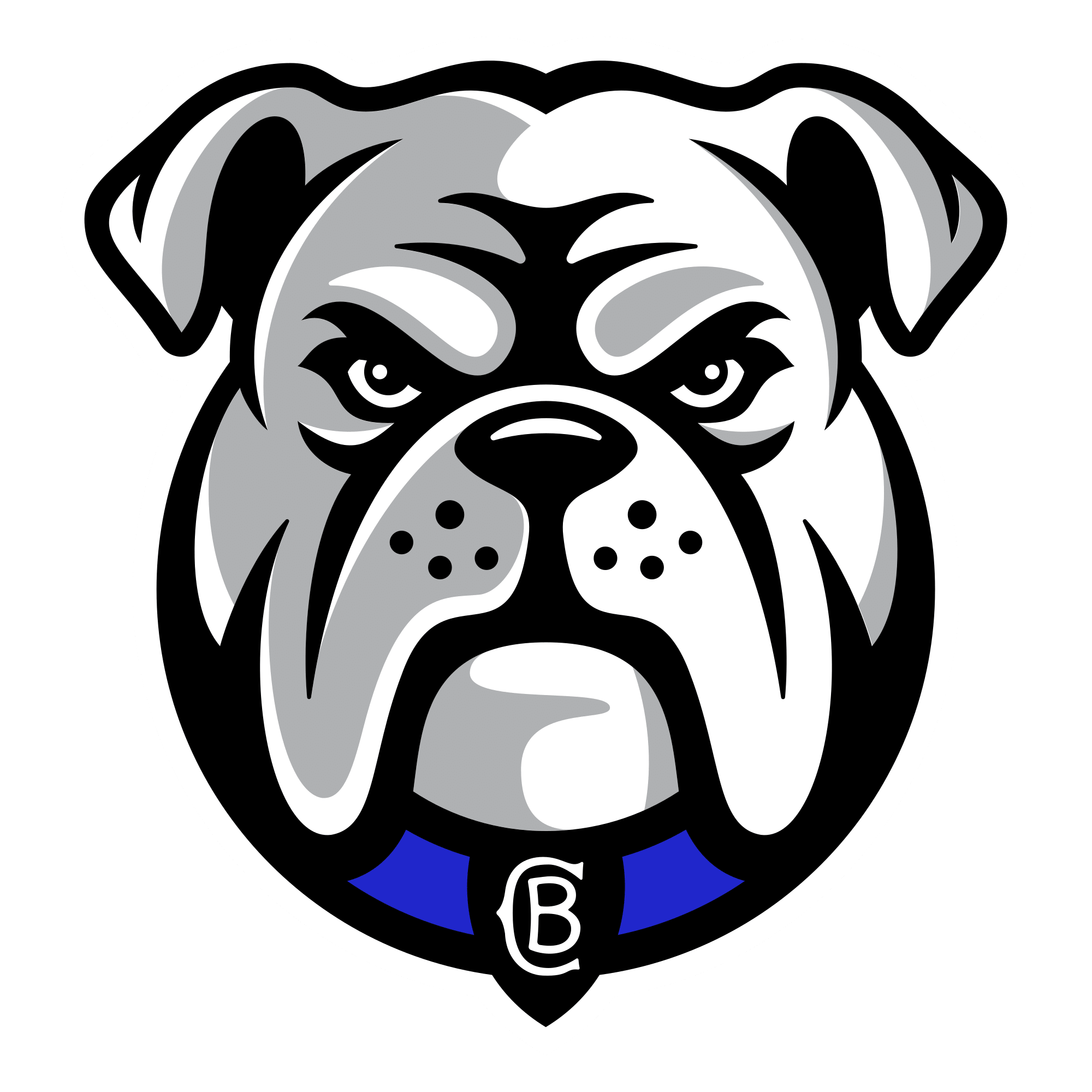 Canterbury Bulldogs